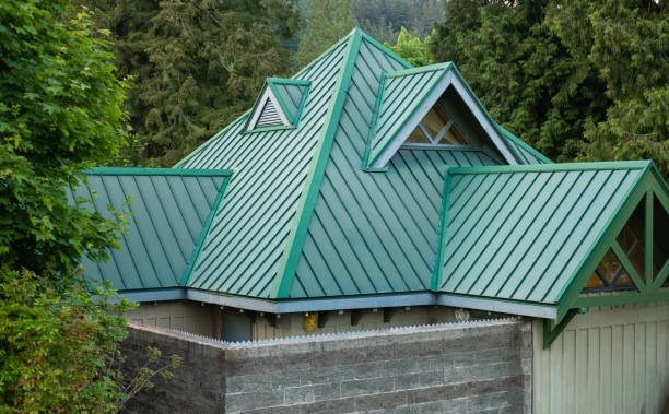 Best Asphalt Shingle Roofing  in South Wallins, KY