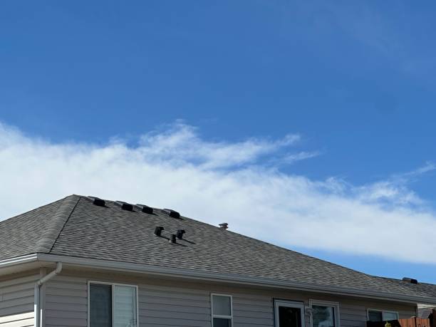 Best Sheet Metal Roofing  in South Wallins, KY