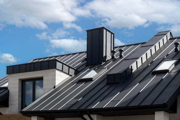 Best Roof Moss and Algae Removal  in South Wallins, KY